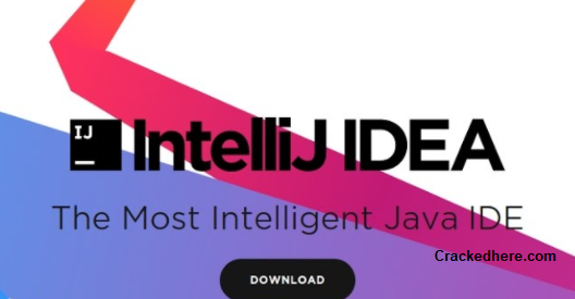 IntelliJ IDEA Crack 2020.3.1